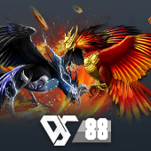 Sabong - Jili168 Game